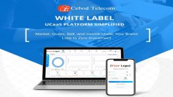 white label voip solution
